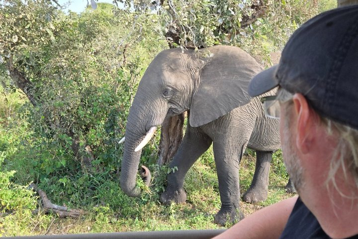 Kruger Park 1-day Safari from Maputo (Open-backed Safari Vehicle) - Photo 1 of 8