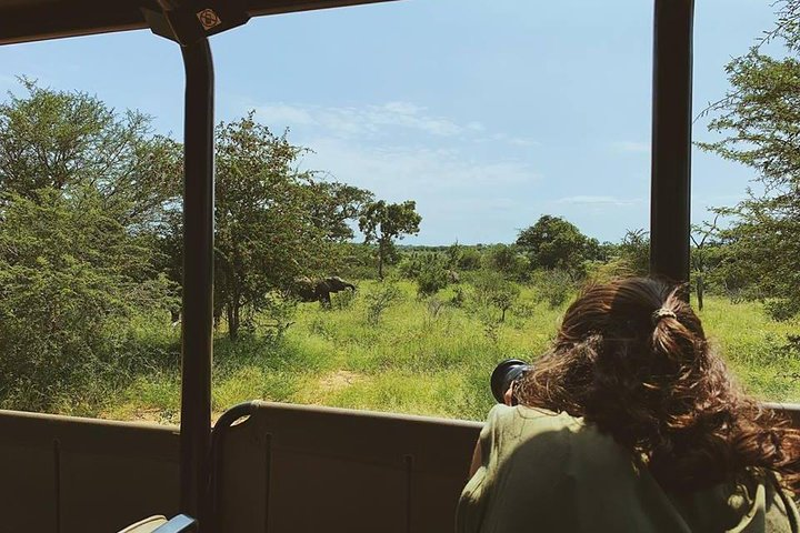 Kruger Park 1-day Safari from Maputo (Open-backed Safari Vehicle) - Photo 1 of 5