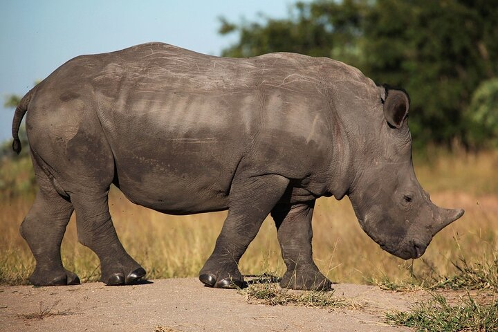 Sossusvlei, Swakopmund and Etosha National Park (Camping)7 D/6 N - Photo 1 of 8
