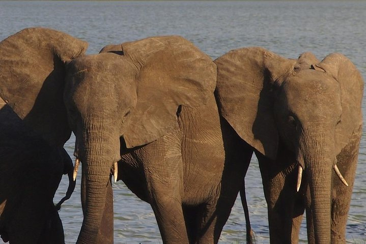 10 Days Beauty of Namibia | Guided Camping - Photo 1 of 7