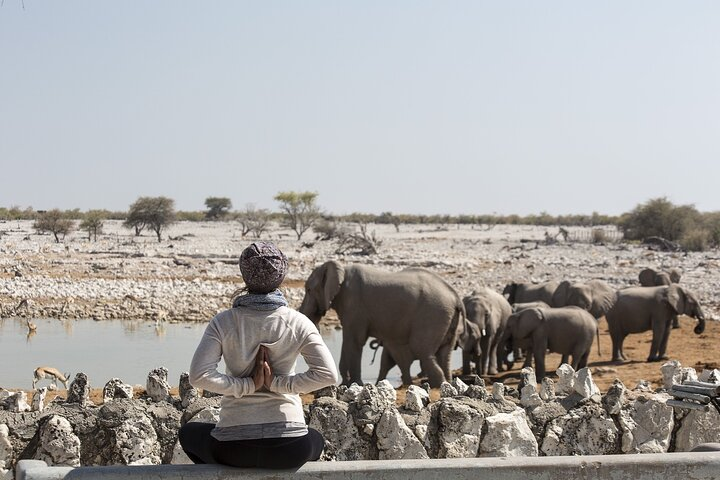 Etosha National Park