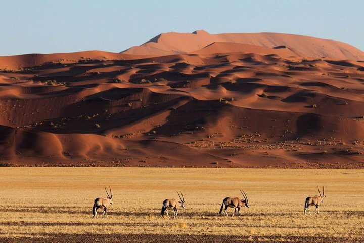 06 Days Namibia Desert | Kalahari-Sossusvlei-Spitzkoppen - Photo 1 of 15