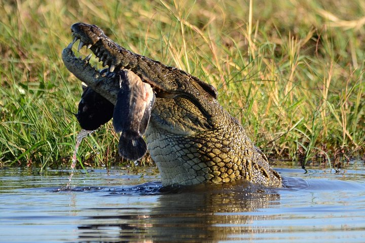 Chobe National Park