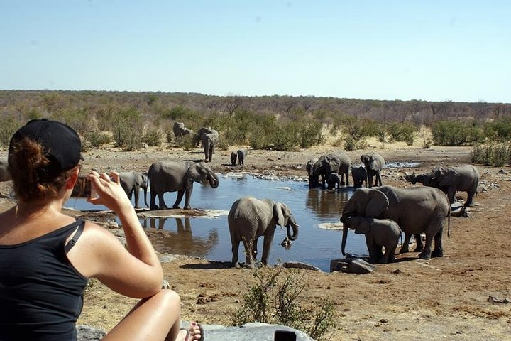 3 Day Etosha Budget Camping Safari - Photo 1 of 17