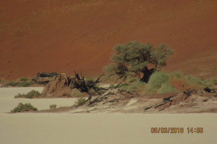 3 days Sossusvlei Budget (Accommodated) - Photo 1 of 3