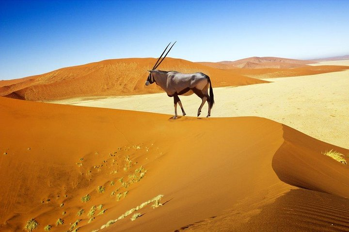 4 Day Sossusvlei Experience (Lodging) - Photo 1 of 6