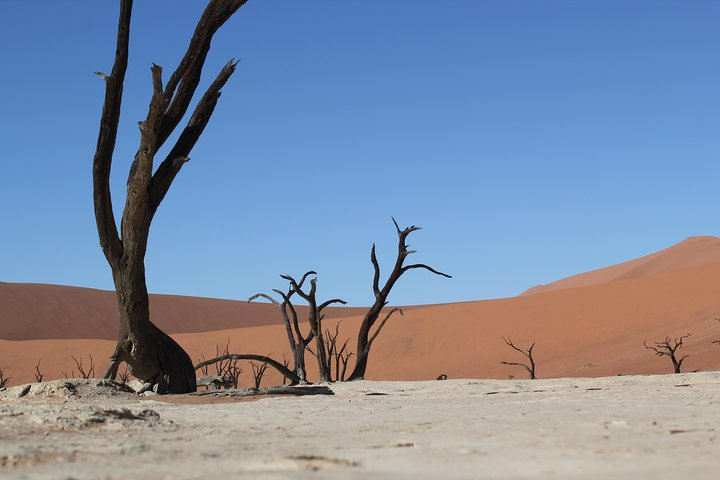 Dead Vlei, Sossusvlei, Namib Desert, Namibia