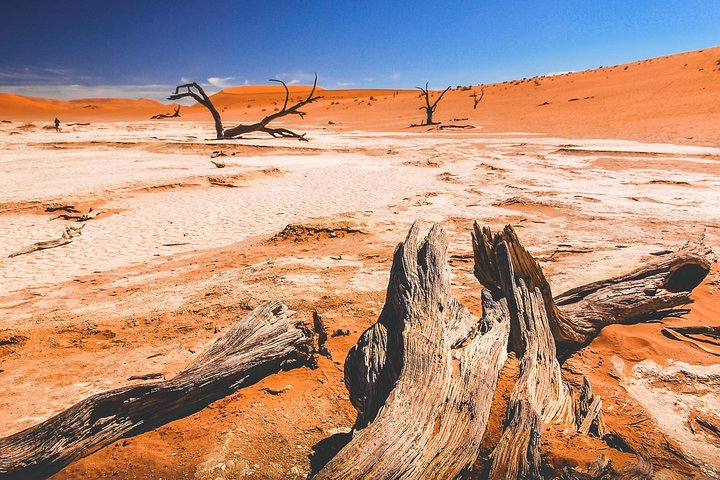 7-day Weekly Expedition - Photo 1 of 6