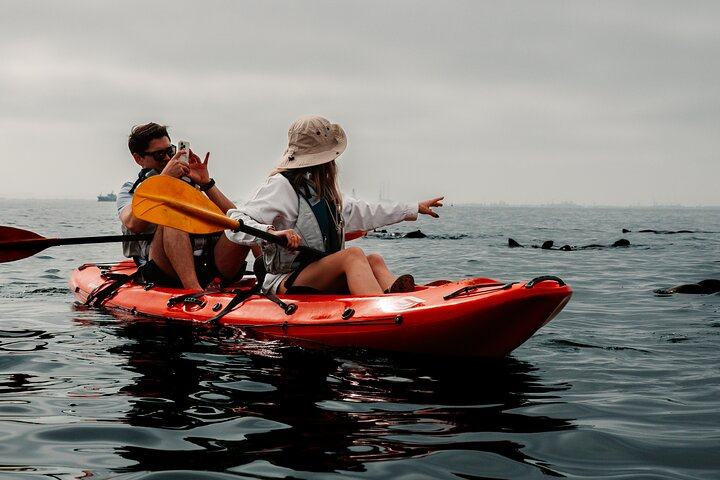 Mola Mola Kayaking Combo with Beach Braai - Photo 1 of 21
