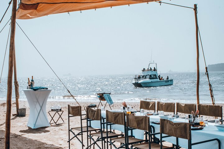 Mola Mola Marine Dolphin Cruise & Beach Braai on Pelican Point - Photo 1 of 17