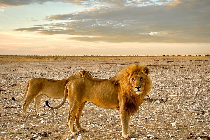 Private 11 Days Namibian Guided Tour - Photo 1 of 7