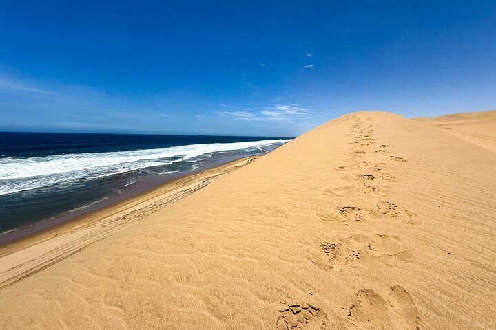 Sandwich Harbour Adventure: Seals and Sandwich harbour dune drive - Photo 1 of 25