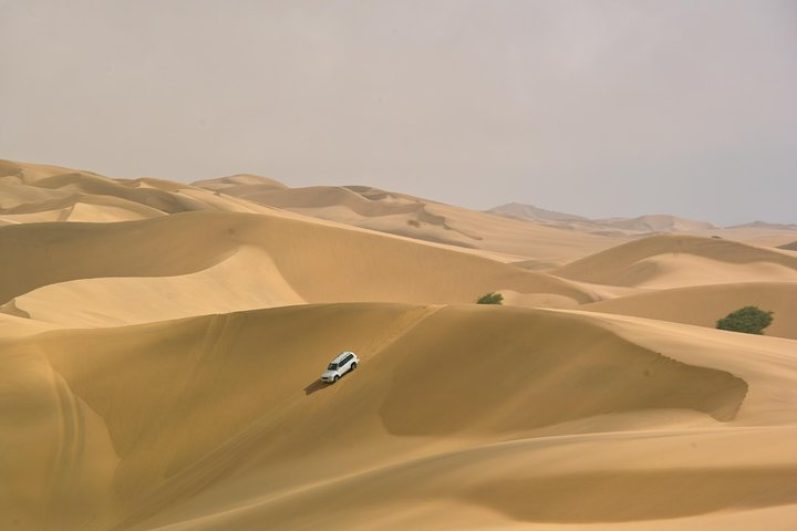 Sandwich Harbour Guided, Self-Drive Tour - Photo 1 of 8