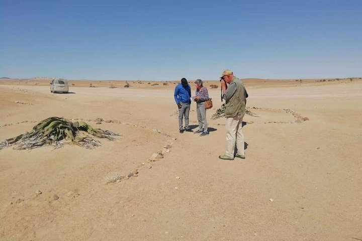Welwitschia Moon landscape & Namib Desert Dune 7 Private Day Tour - Photo 1 of 14