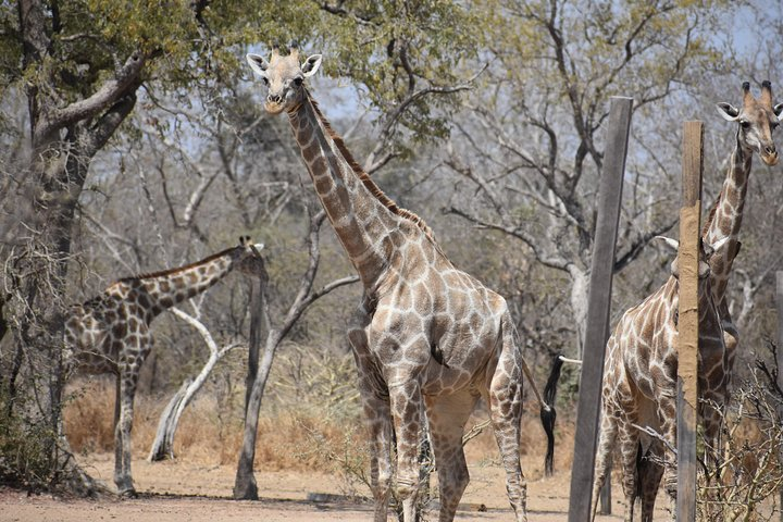Into the Wild - Yankari Game Reserve - Photo 1 of 9