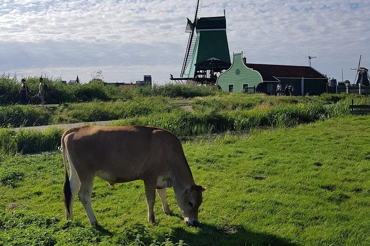Typical Dutch scene.