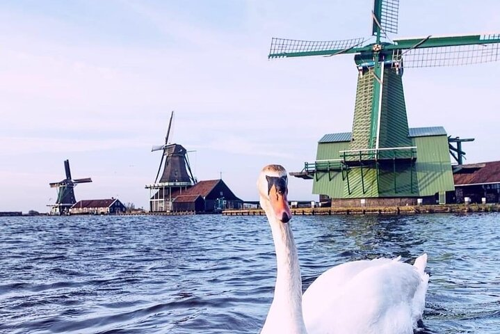 Zaanse Schans Windmills, Countyside & Fishing Villages - Photo 1 of 17