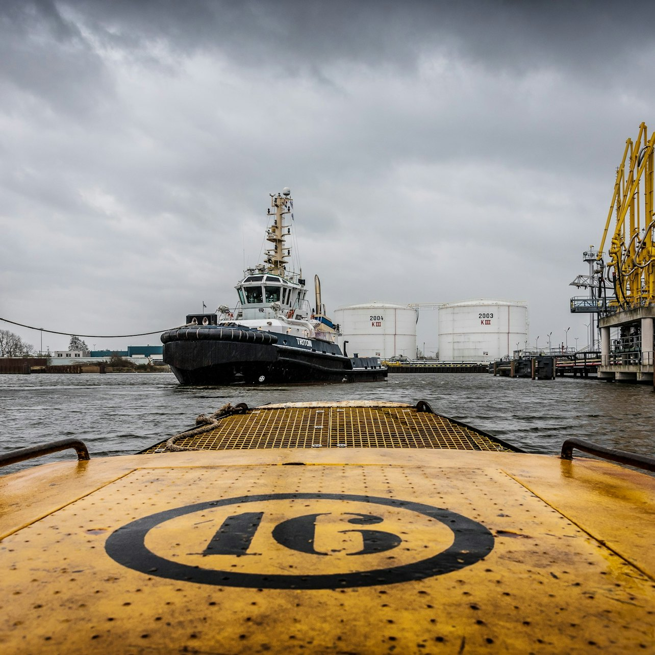 Amsterdam: Port of Amsterdam Cruise from NDSM - Photo 1 of 4