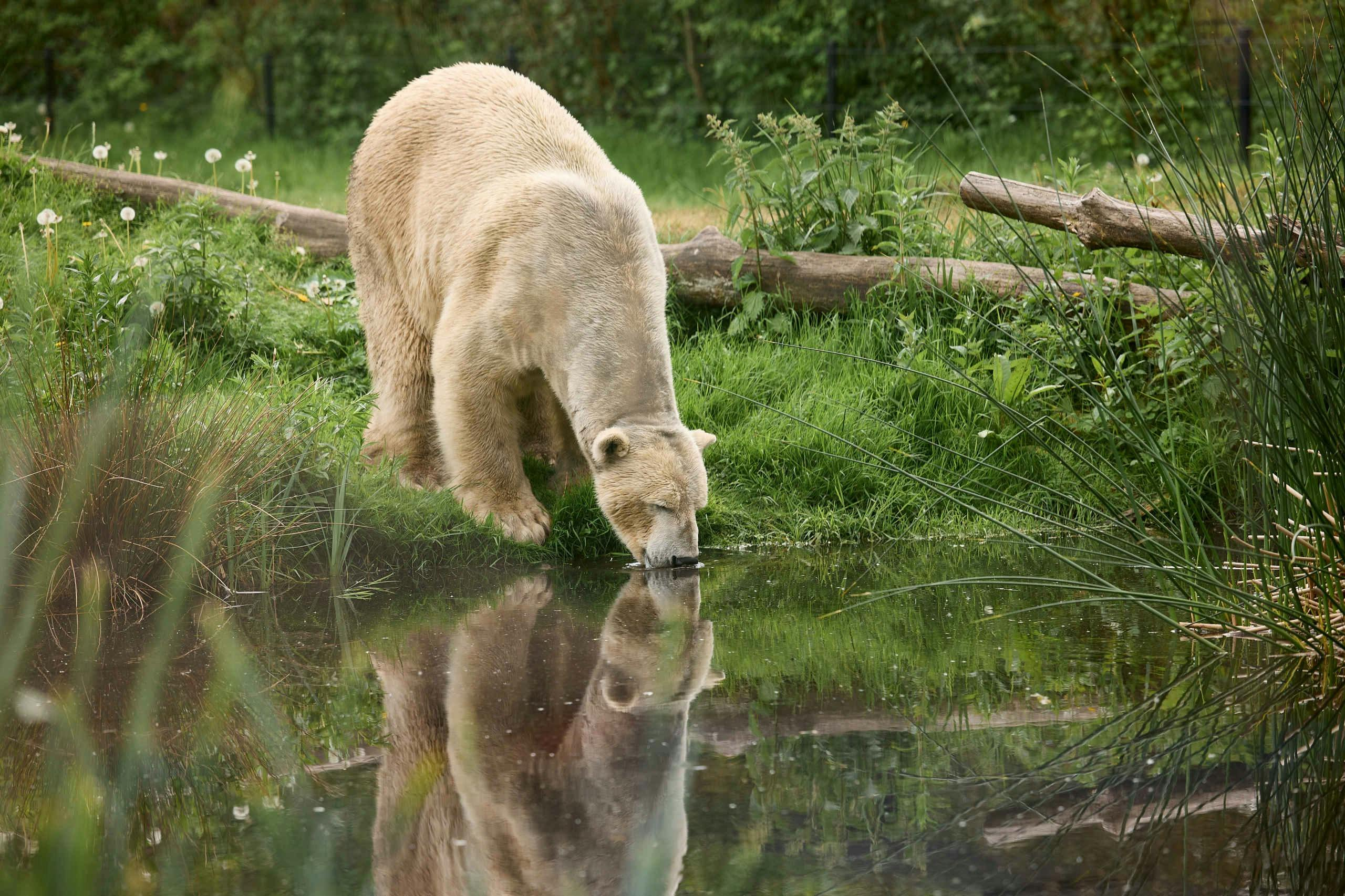 AquaZoo Leeuwarden: Entry Ticket - Photo 1 of 8