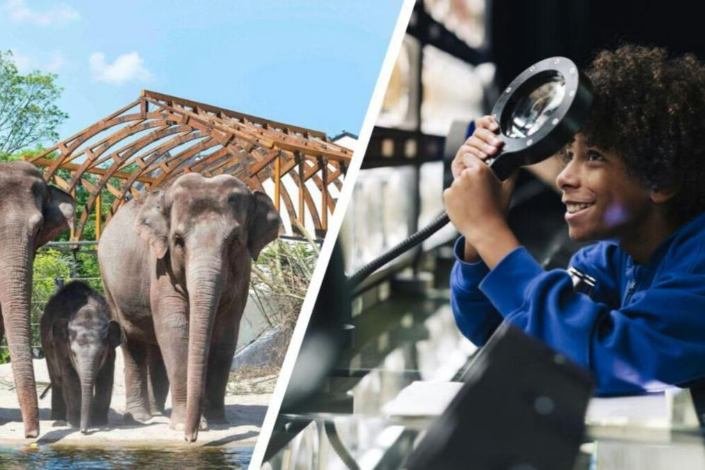 ARTIS Amsterdam Royal Zoo & Micropia: Skip The Line Entry Ticket - Photo 1 of 8