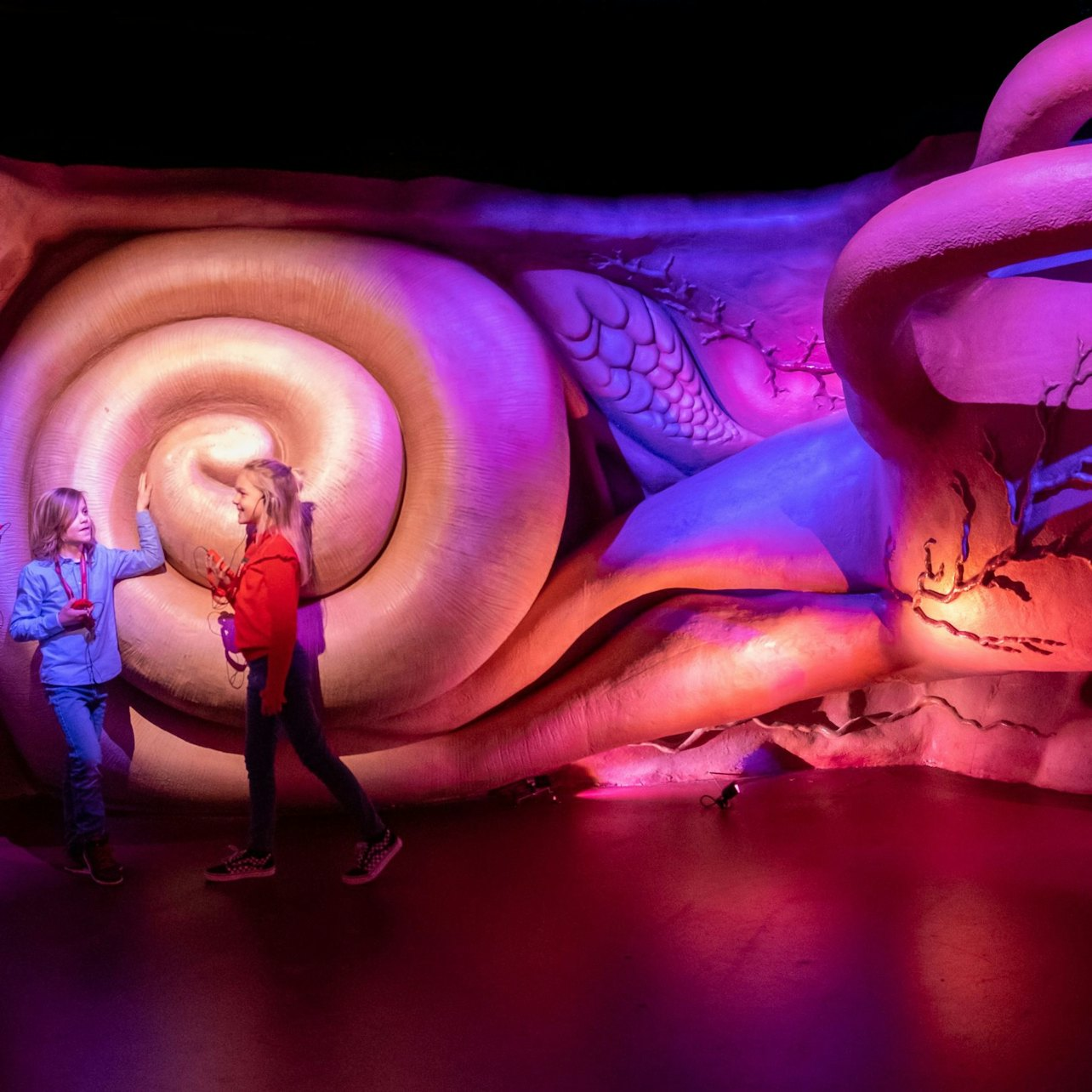 CORPUS Tickets + Audio Guide - Photo 1 of 5