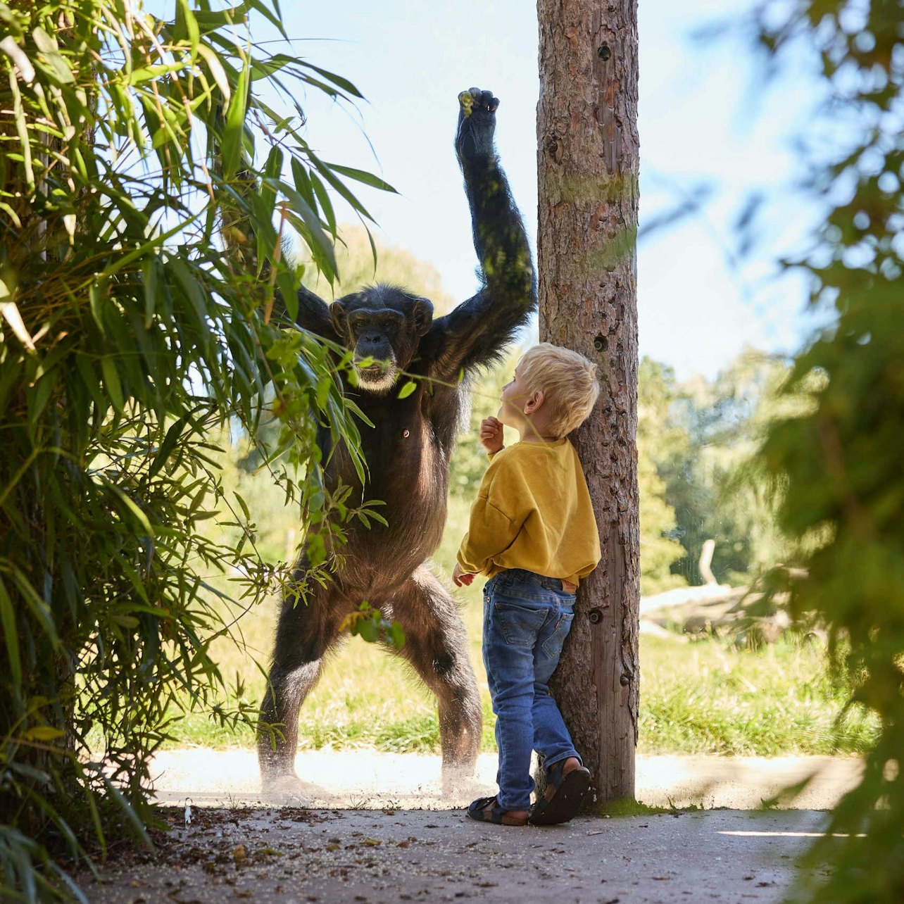 Eindhoven Zoo - Photo 1 of 6