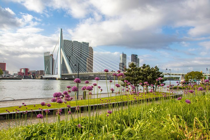 Discover Rotterdam’s most Photogenic Spots with a Local - Photo 1 of 10
