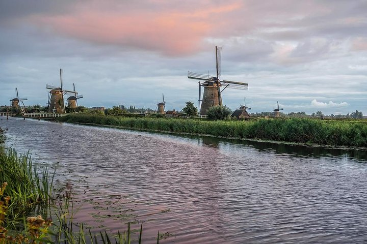 Discover the Dutch countryside & windmills with a private guide - Photo 1 of 5