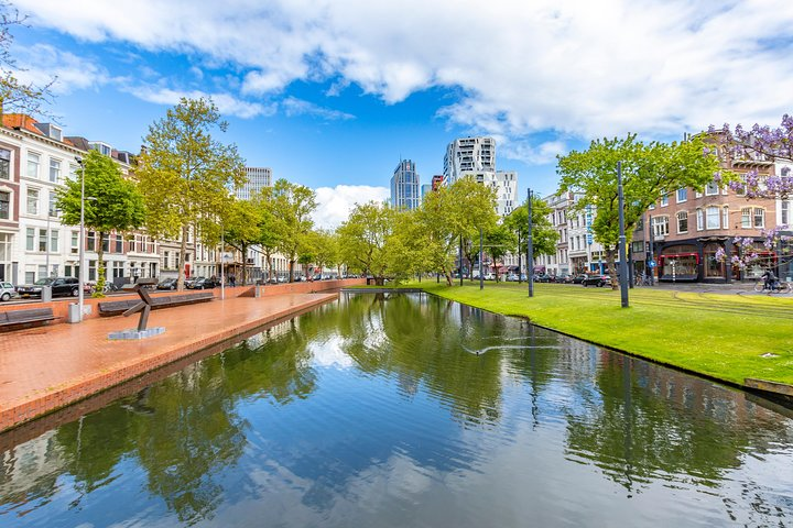 Explore Rotterdam in 90 minutes with a Local - Photo 1 of 10
