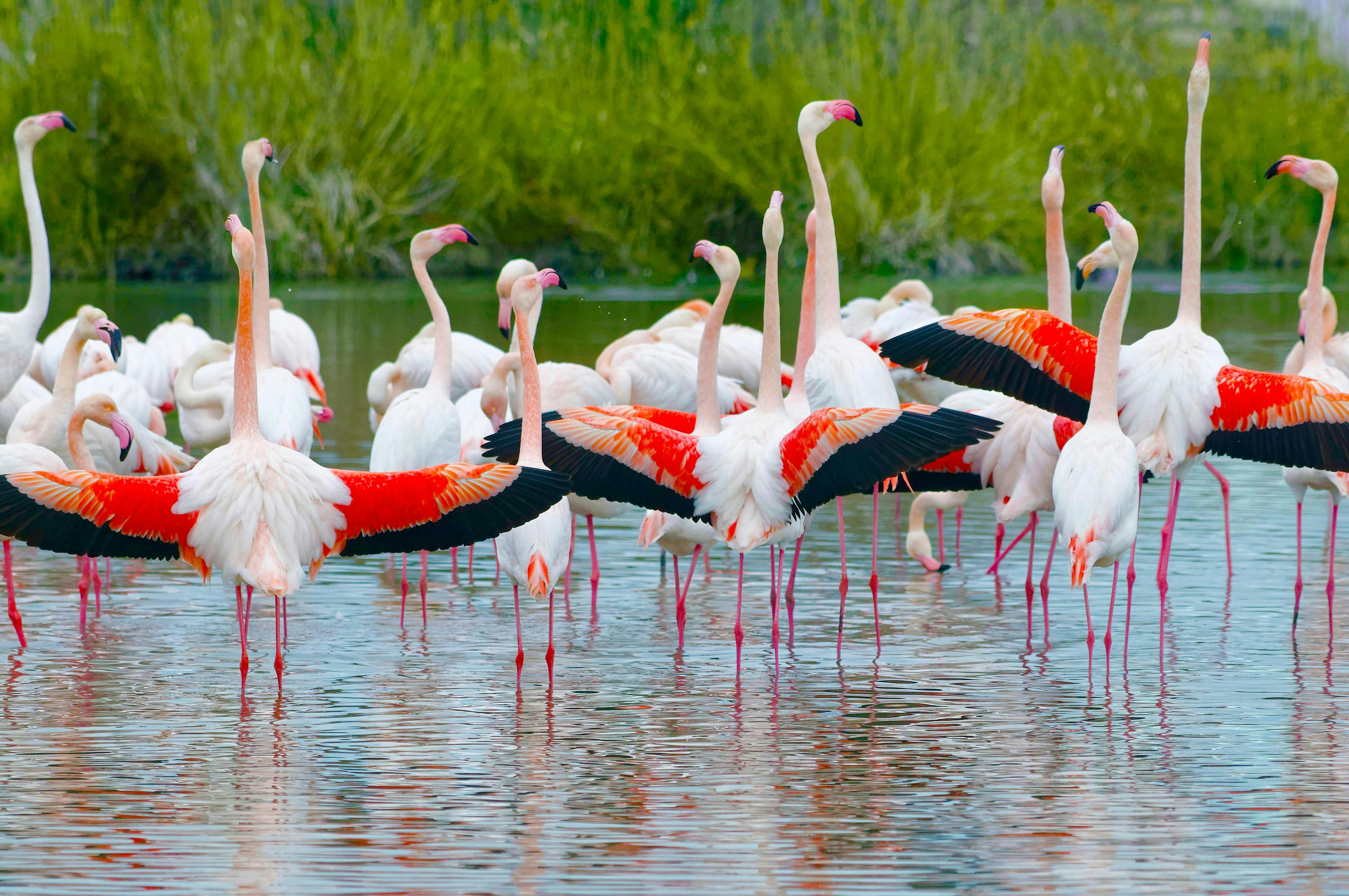 GaiaZOO: Entry Ticket - Photo 1 of 6