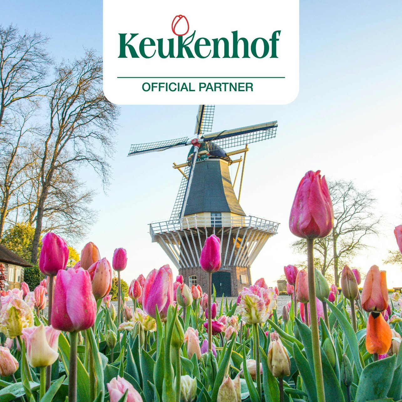 Keukenhof: Entry Ticket + Windmill Cruise + Transport - Photo 1 of 7