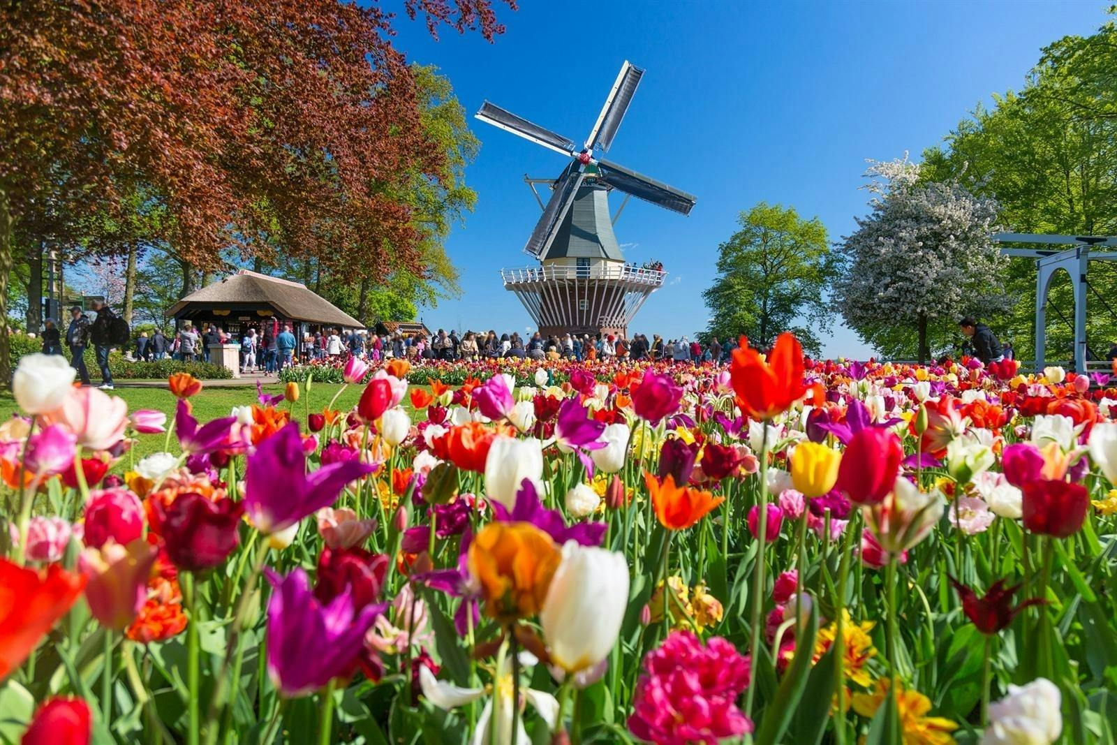 Keukenhof: Entry Ticket + Windmill Cruise - Photo 1 of 4