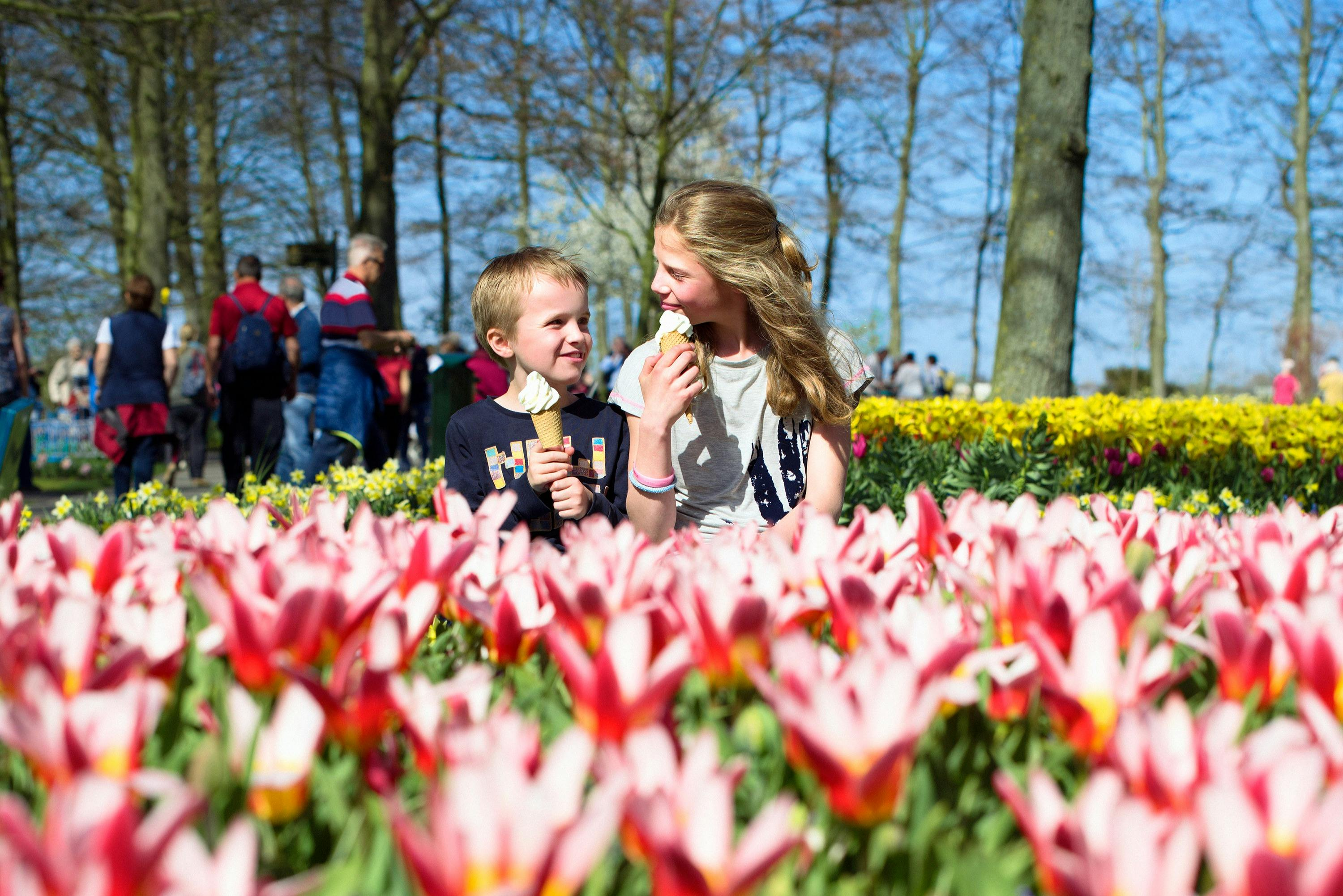 Keukenhof: Entry + Roundtrip Bus Transfer from Rotterdam - Photo 1 of 3