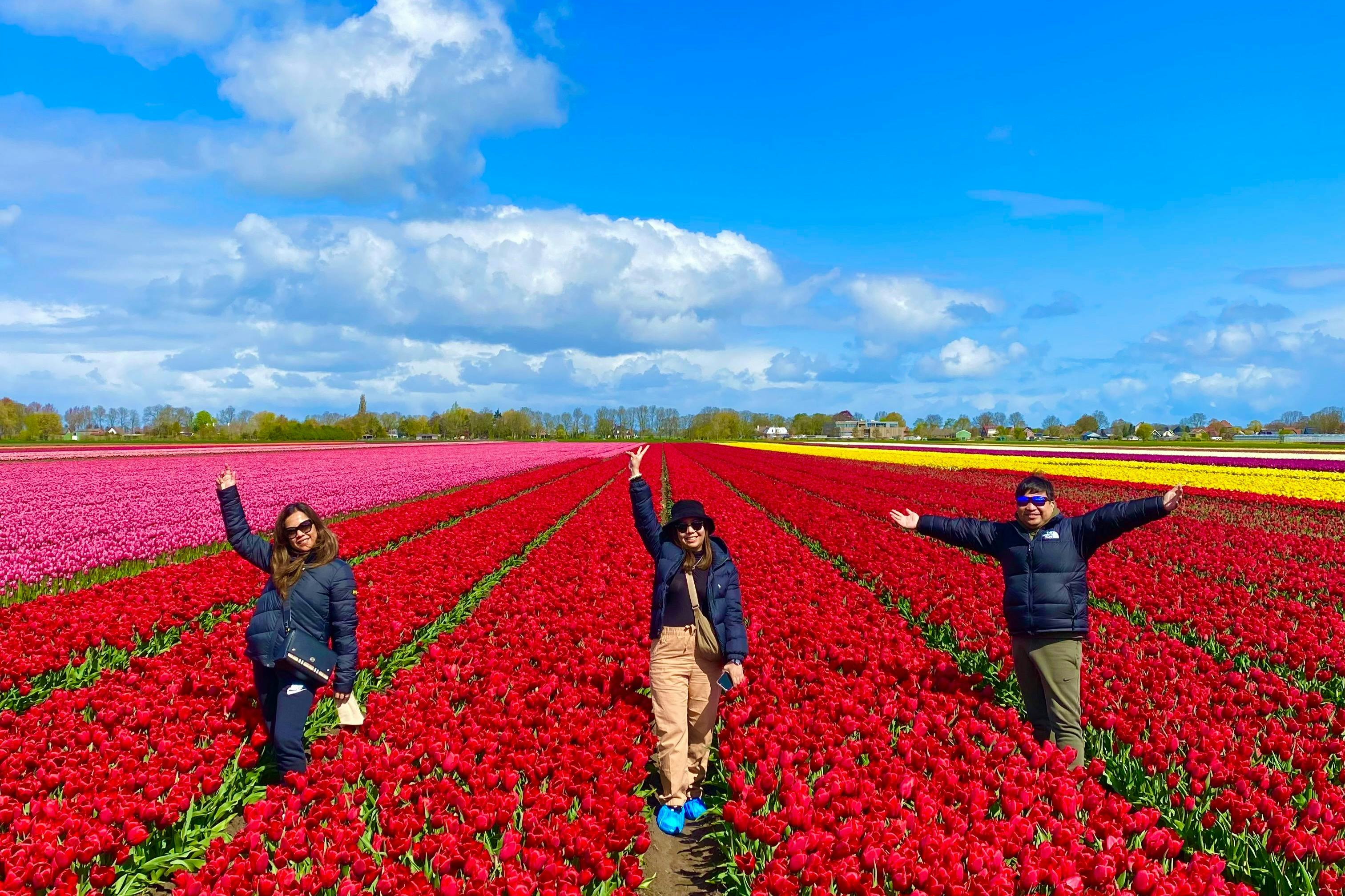 Amsterdam: Guided Tulip Tour + Lunch - Photo 1 of 5