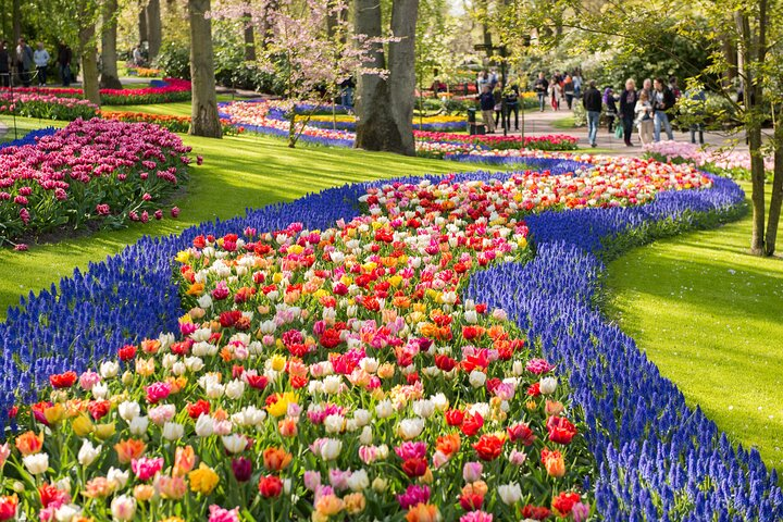 Keukenhof Gardens Tickets and Transfer from Amsterdam - Photo 1 of 15
