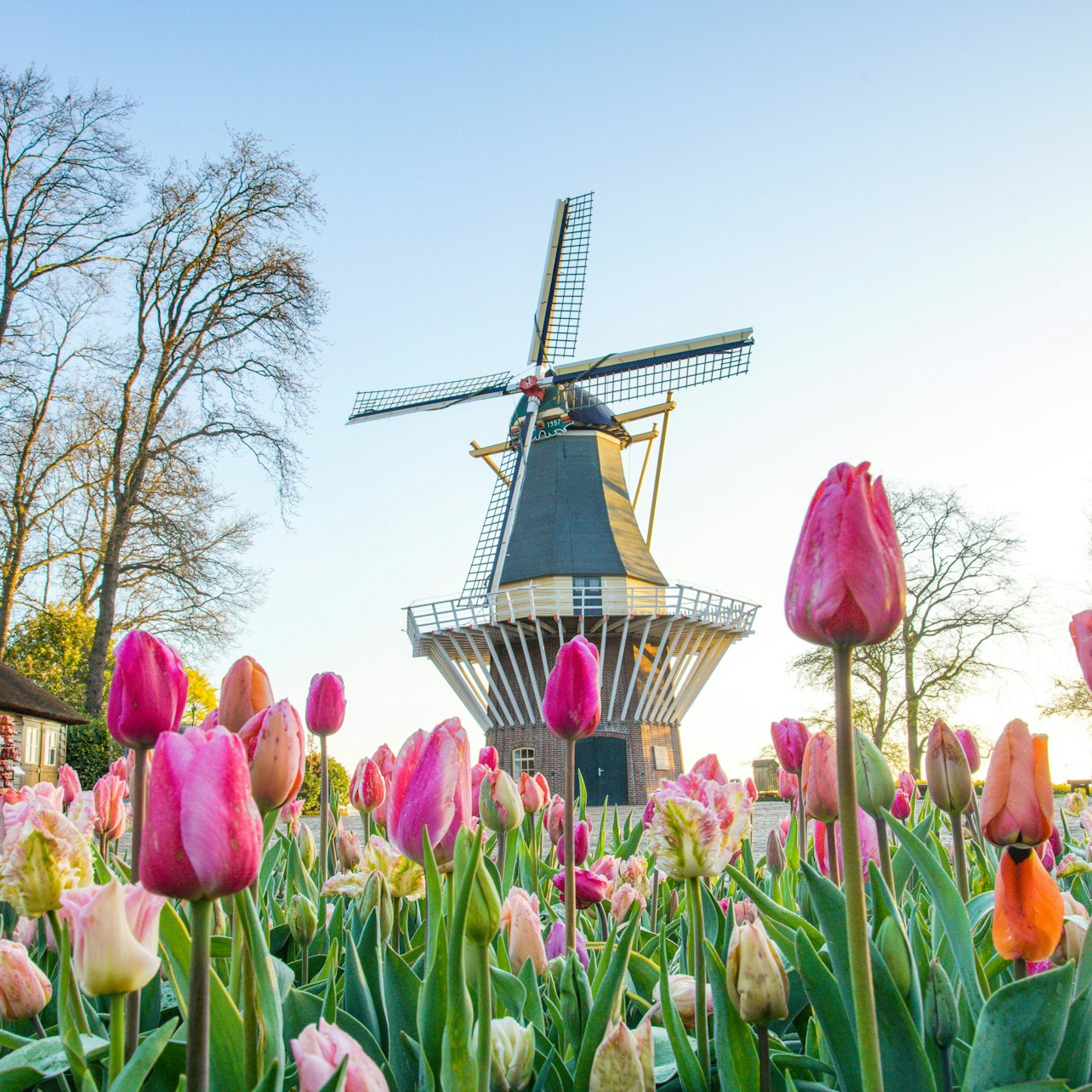 Keukenhof, Zaanse Schans & Volendam: Entry Ticket + Guided Tour - Photo 1 of 21