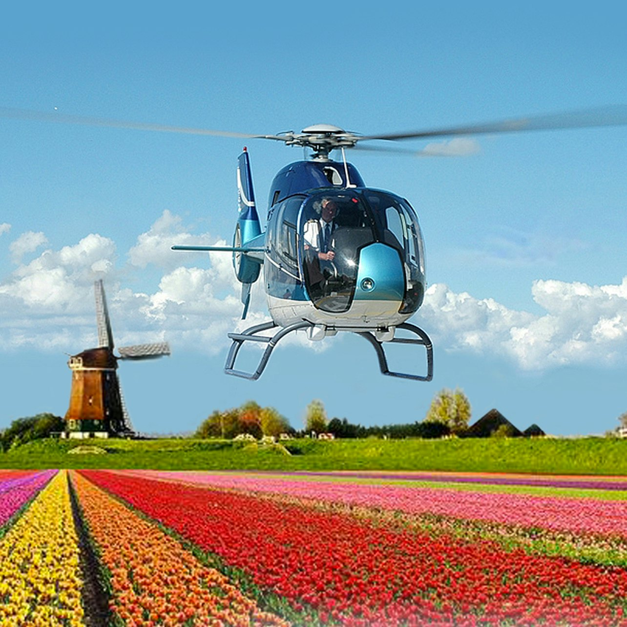 Amsterdam: Tulip Field Helicopter Flight - Photo 1 of 3