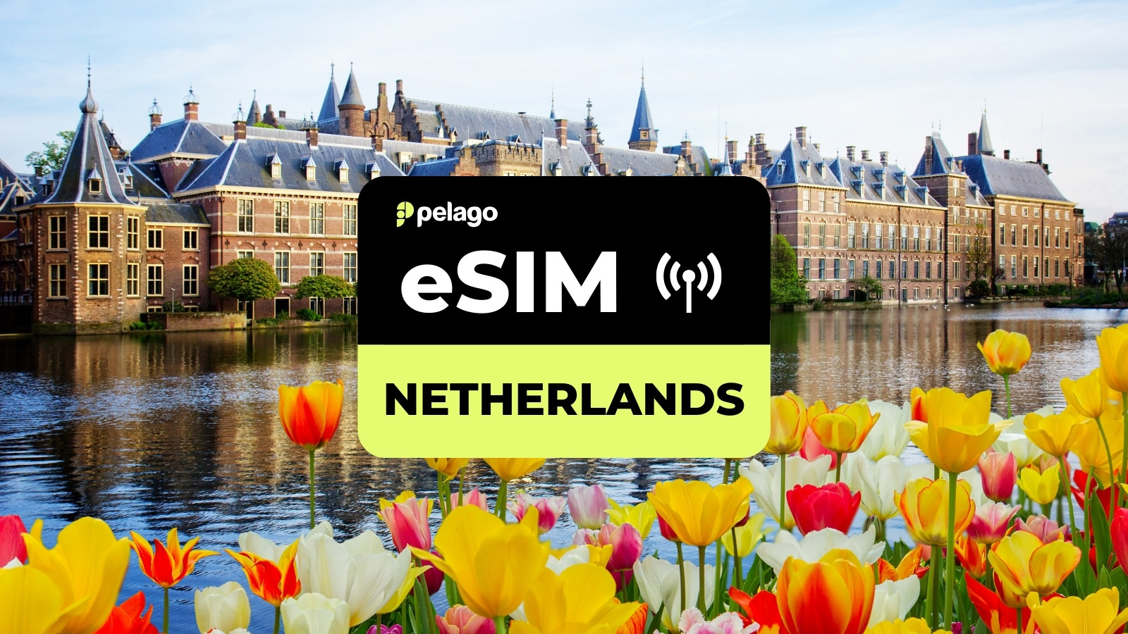 Netherlands eSIM by Pelago - Photo 1 of 1