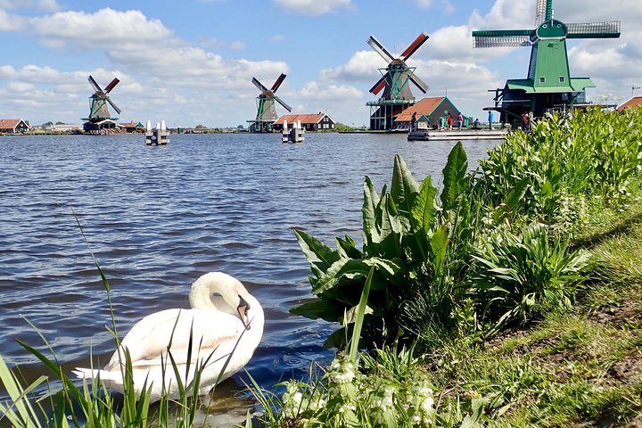 Amsterdam private tour to windmills, cheese farm and villages - Photo 1 of 25