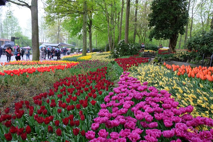 Private Day Trip to Keukenhof and The Tulperij - Photo 1 of 5