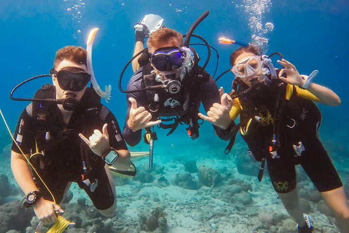 Personalized Discover Scuba Dive Experience in Curaçao - Photo 1 of 9
