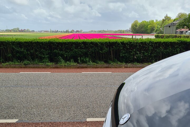 Amsterdam Private Transfer to Keukenhof Gardens - Photo 1 of 8