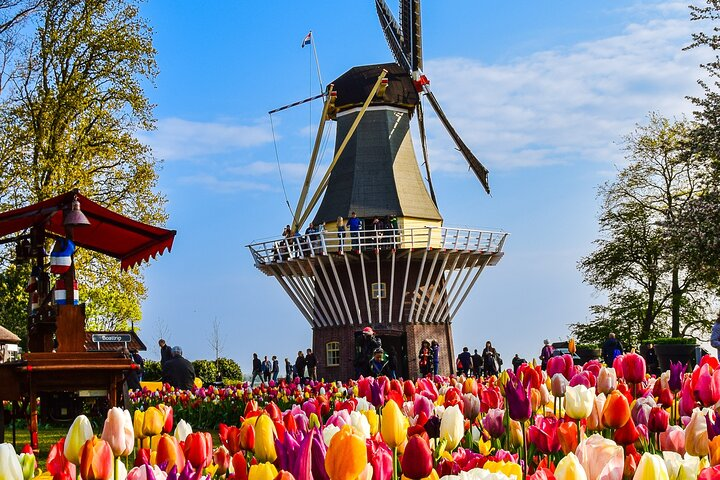 Private Tour Keukenhof Gardens + Tulperij Tulip Experience - Photo 1 of 6