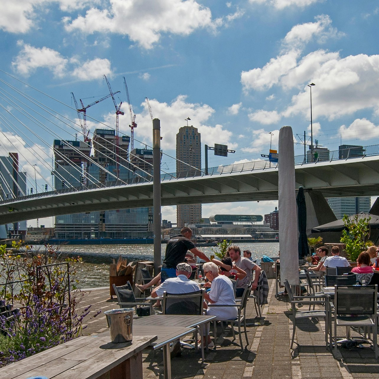 Rotterdam, Delft & The Hague: Small Group Guided Tour + Transport - Photo 1 of 18