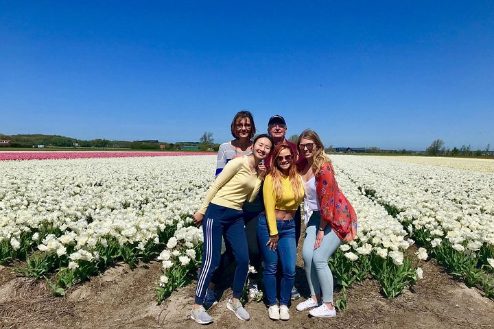 Alkmaar Tulip Bike Tour