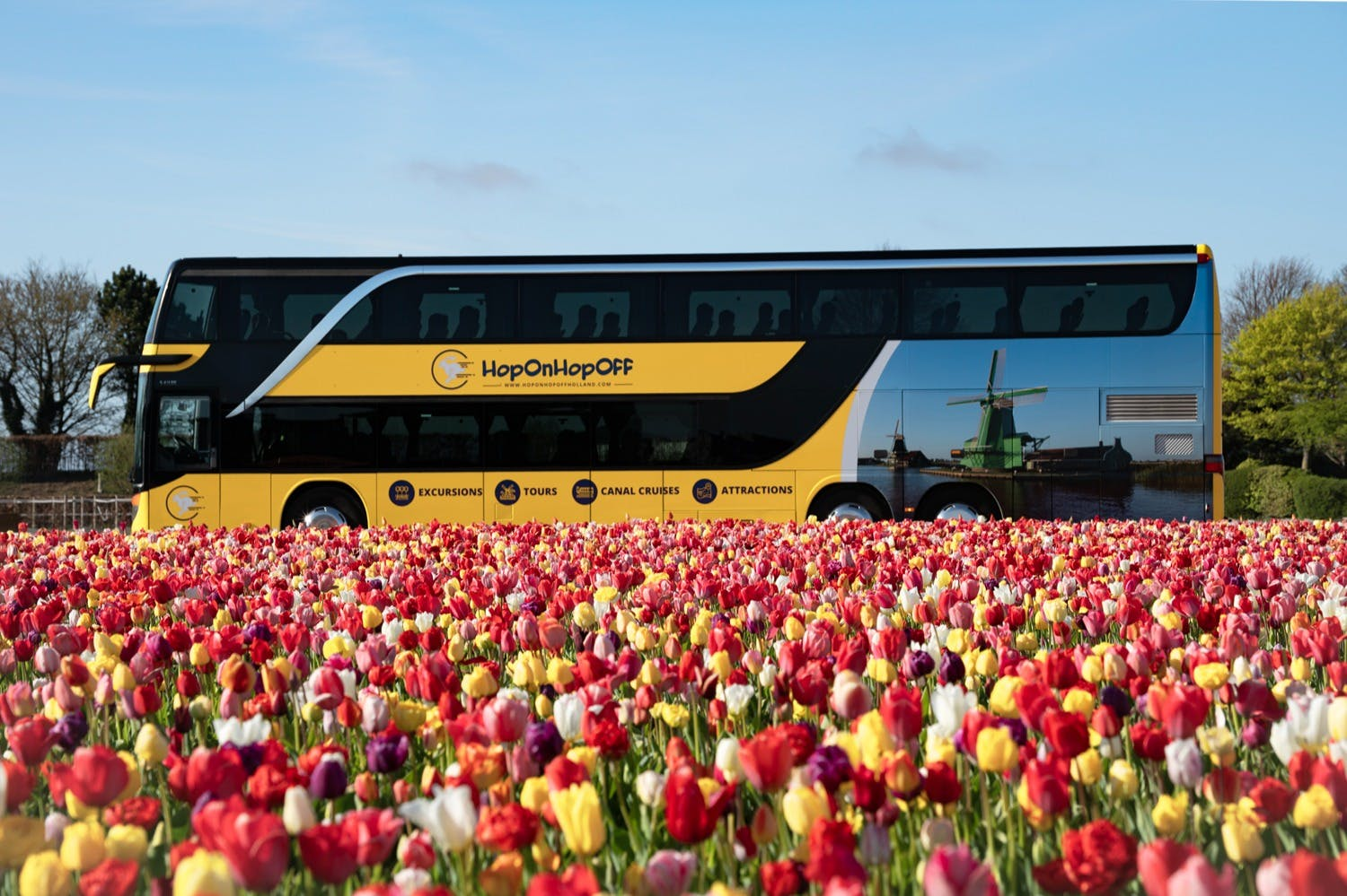 Keukenhof: Roundtrip Bus Transfer to Amsterdam - Photo 1 of 5