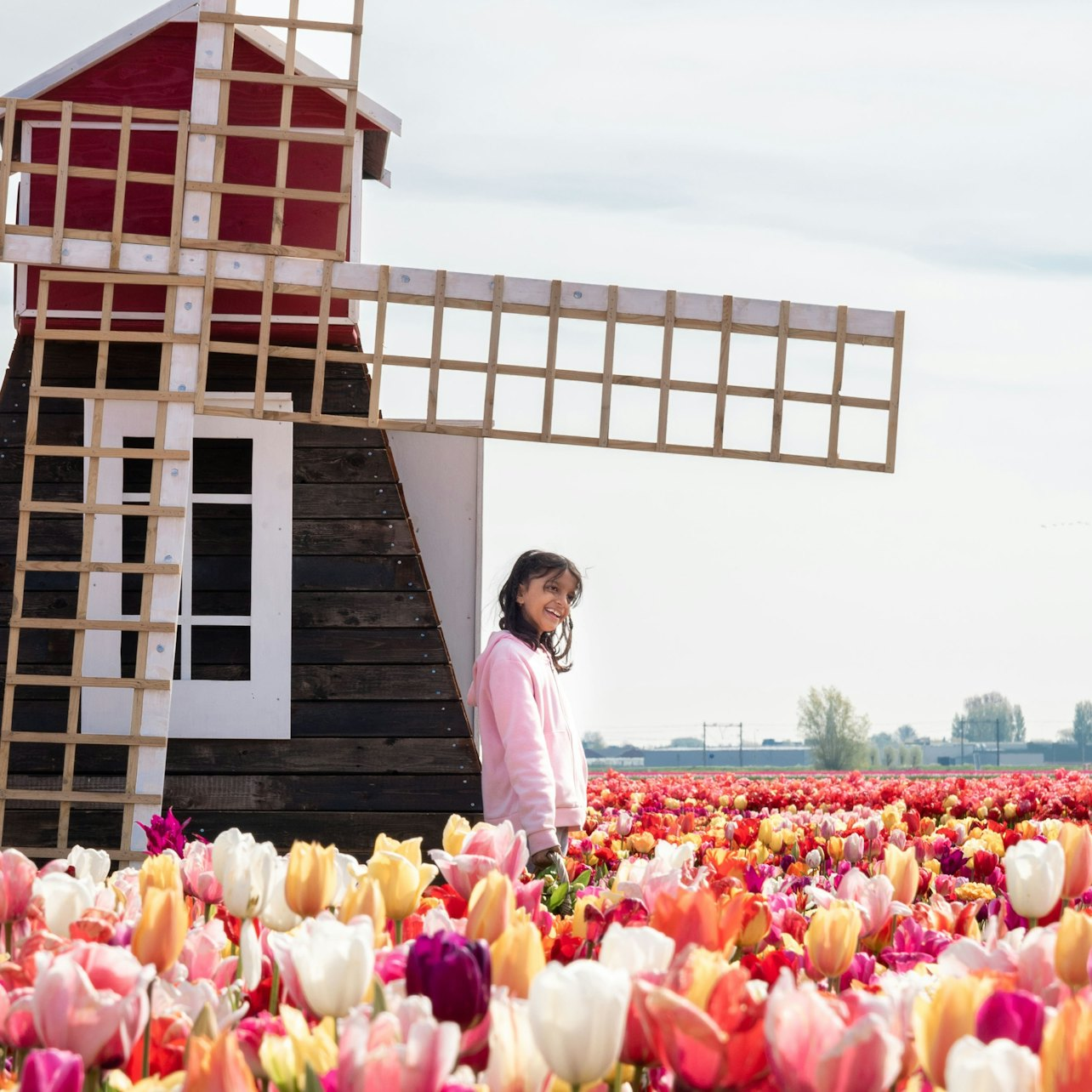 Tulip Experience Amsterdam: Entry Ticket - Photo 1 of 21