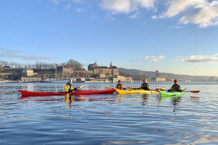 Oslo Sea Kayak Tour: Explore The Incredible Oslofjord  - Photo 1 of 14