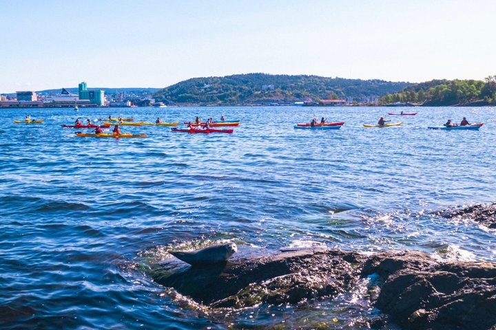 Oslo Sea Kayak Tour: Explore The Incredible Oslofjord - Photo 1 of 25
