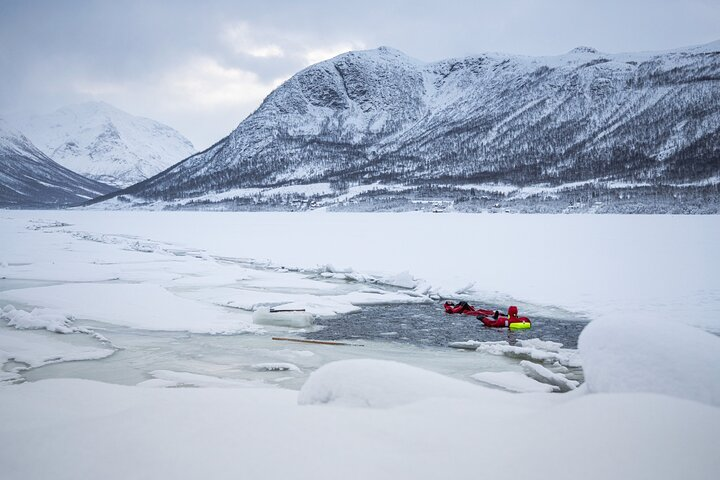 3-Hour Shared Arctic Morning Floating Experience in Norway - Photo 1 of 6